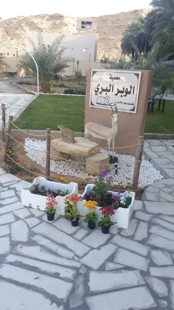 محمية الوبر البري — صورة 2