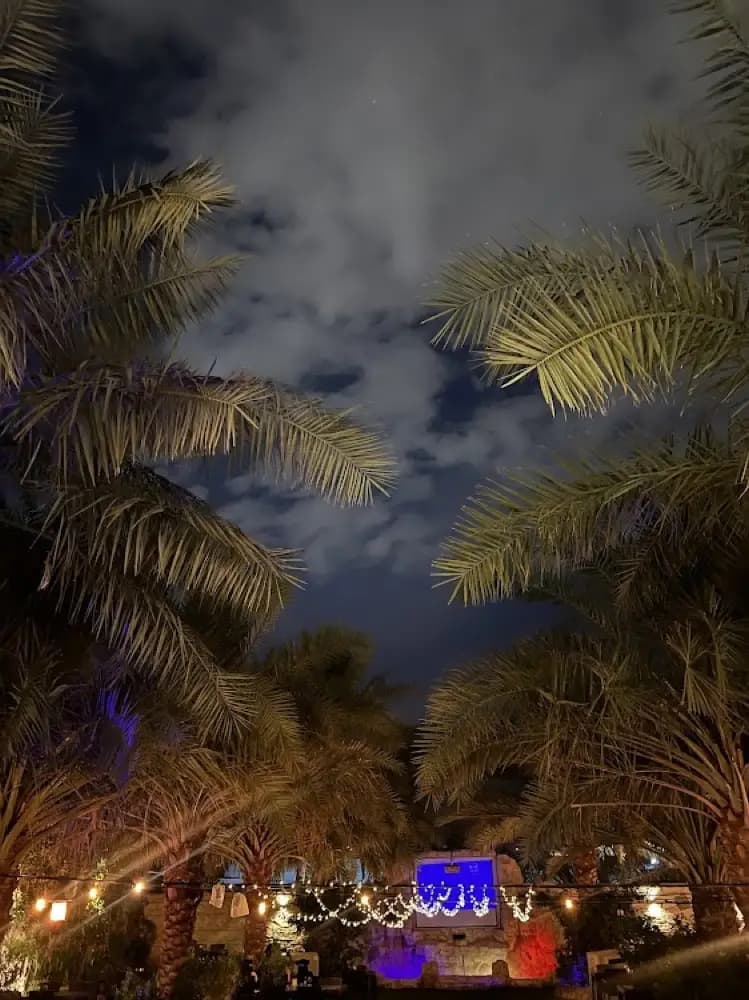 منتزه درة المدينة — صورة 3