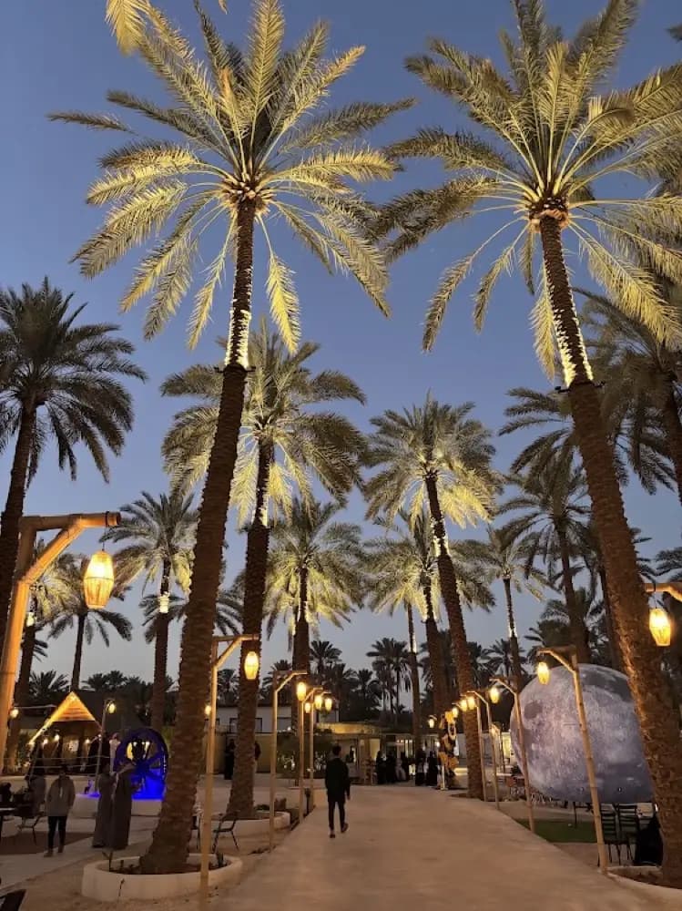 نسمة جريد — صورة 2