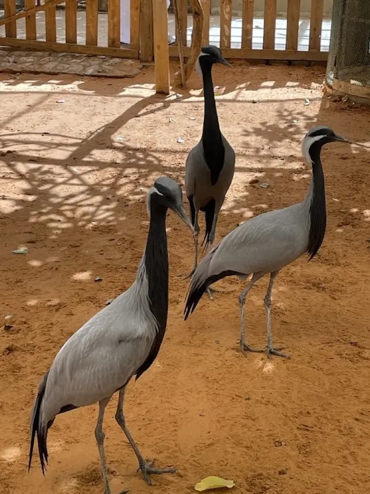 محمية مهند العمر — صورة 2