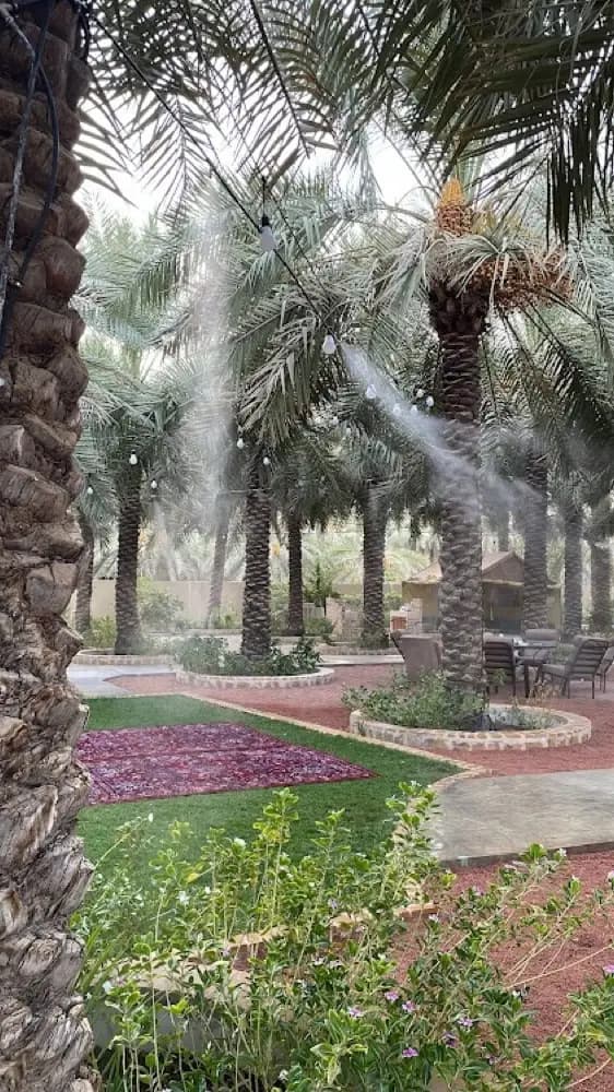 مزرعة ريف النخيل — صورة 2