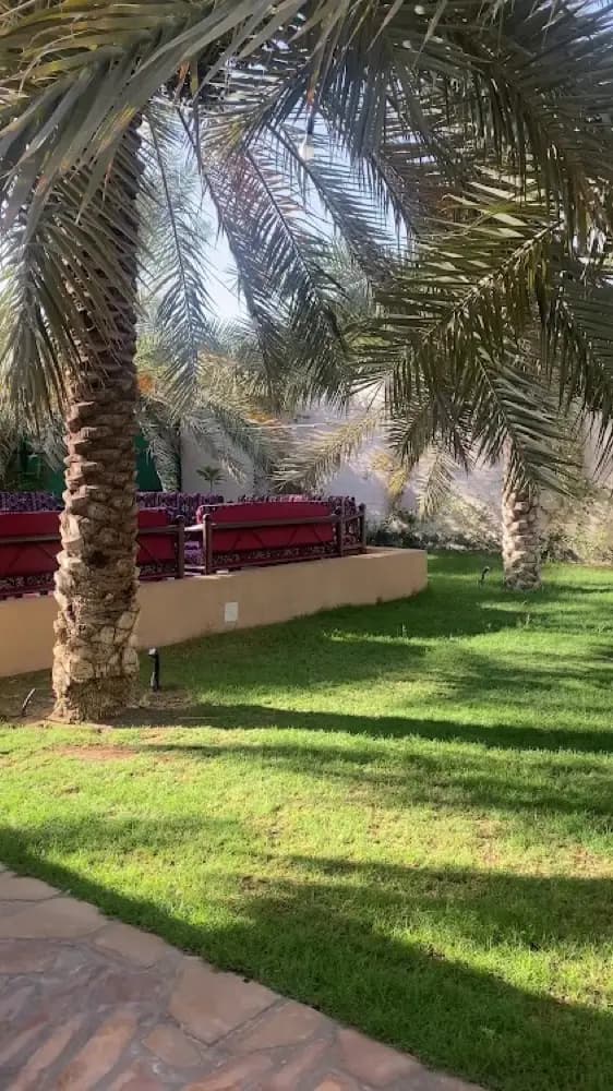 ريف حصة — صورة 2