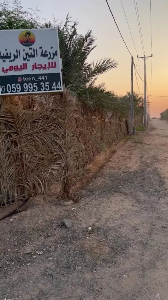 مزرعة التين الريفية — صورة 2