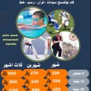 اكاديمية شهم الرياضية