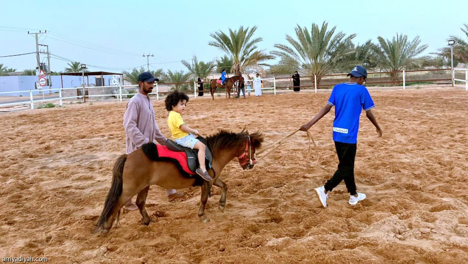 مزرعة العليان (مزرعة الوادي) للورقيات والخضار — صورة 3