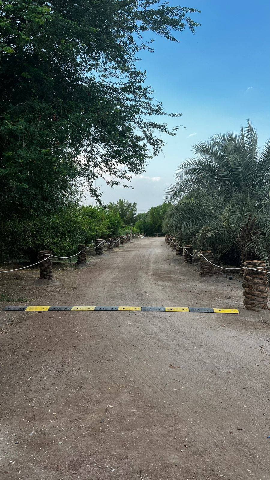 مزرعة العامرية — صورة 2