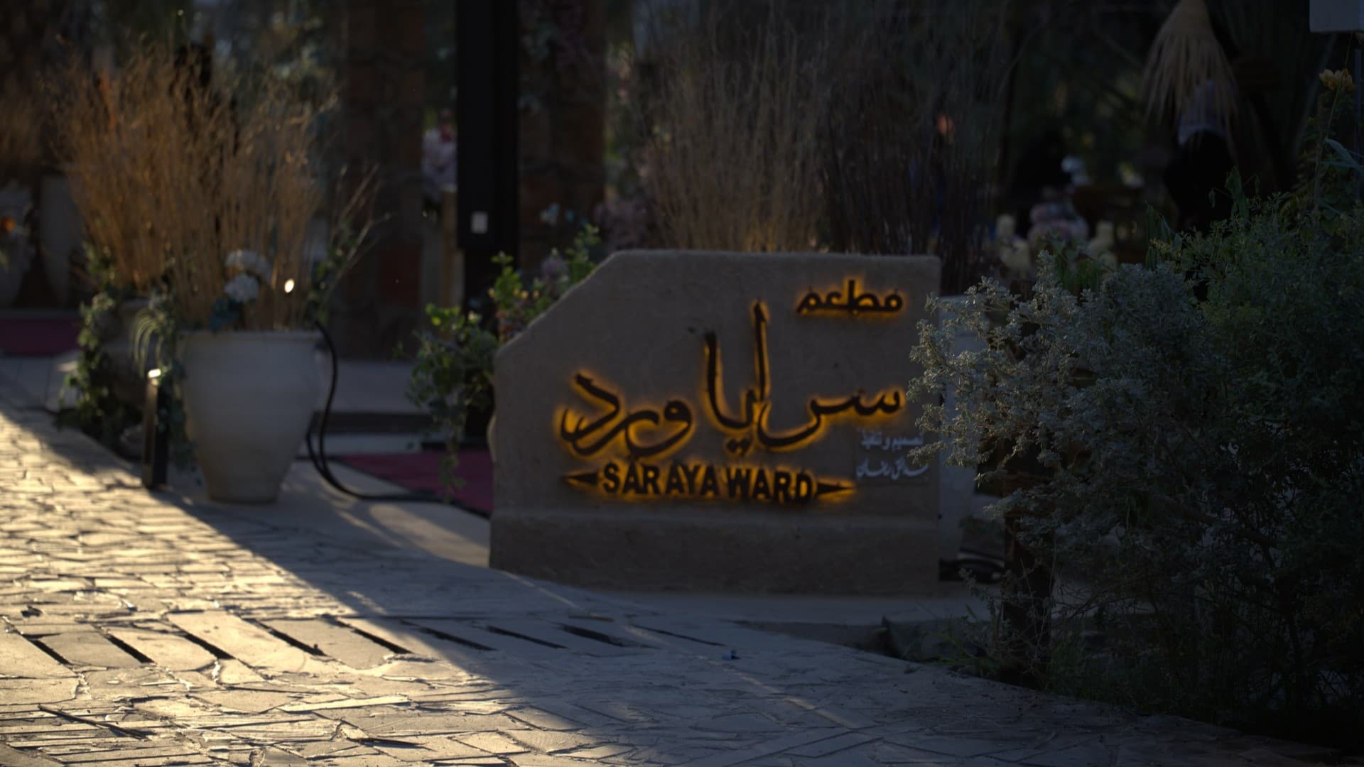 مزرعة المربد — صورة 3