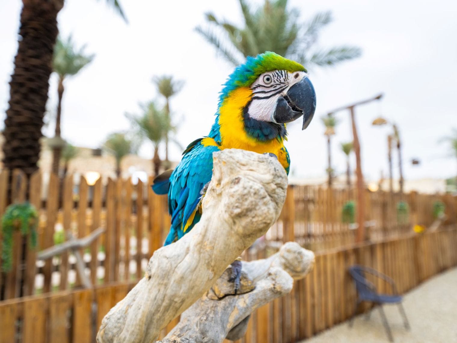 مزار البستان — صورة 2
