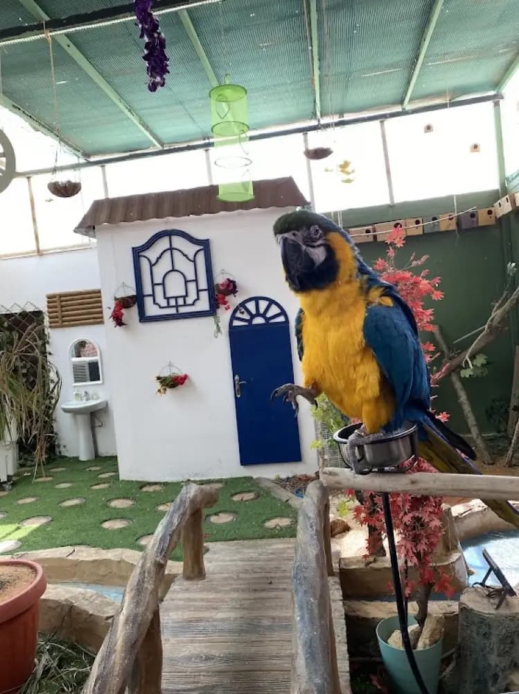 حديقة طيور الريان