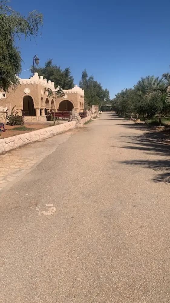 بساتين شيخة