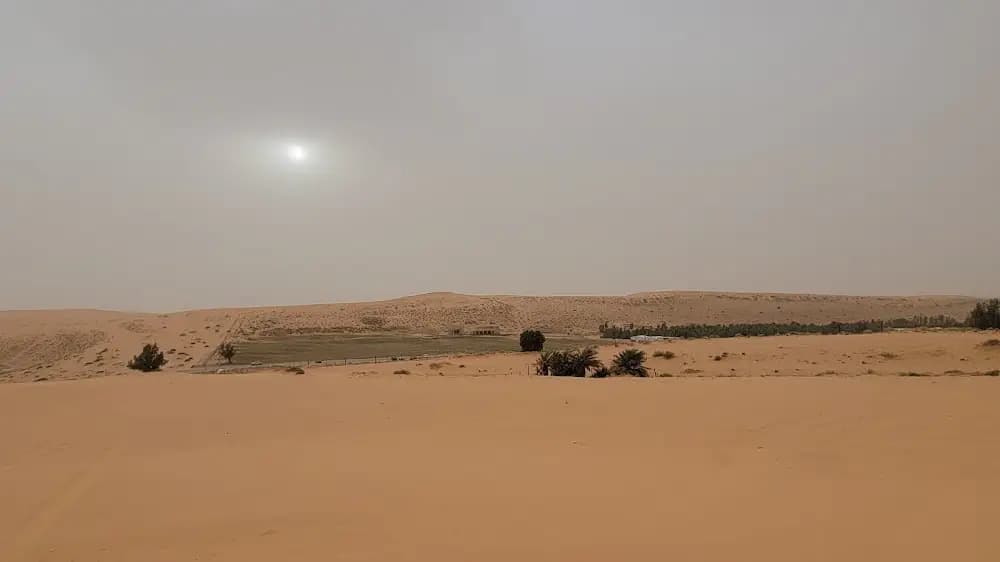 محمية المسند