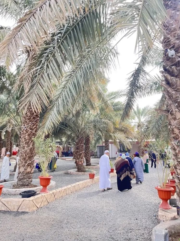مزرعة ابو بكر الصديق