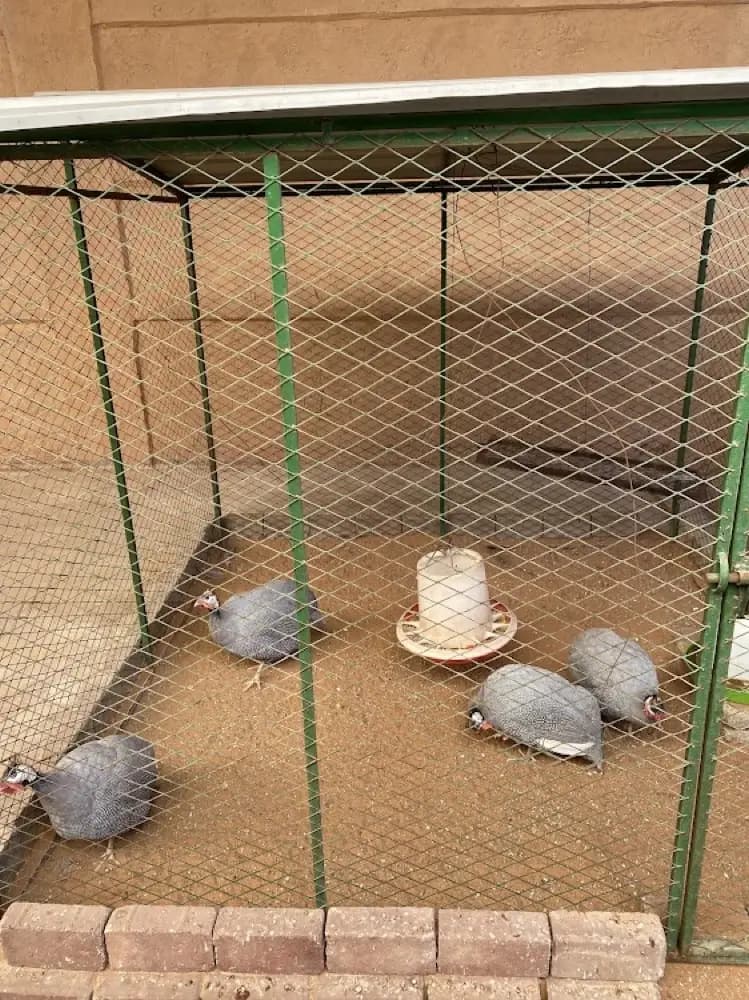 وودي حديقة ومحمية