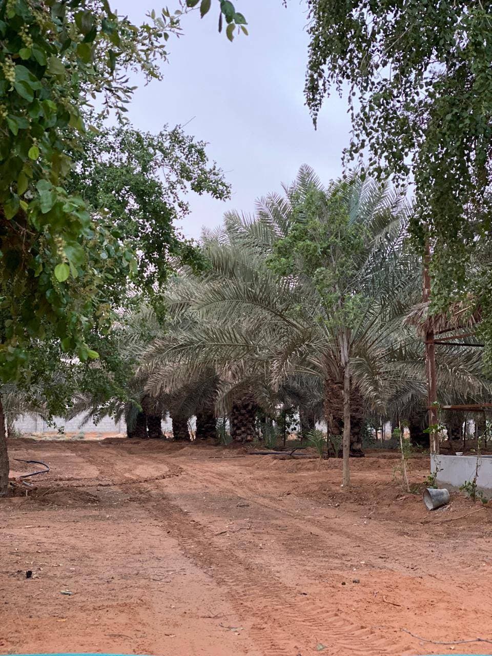 مزرعة تراثية في ثادق