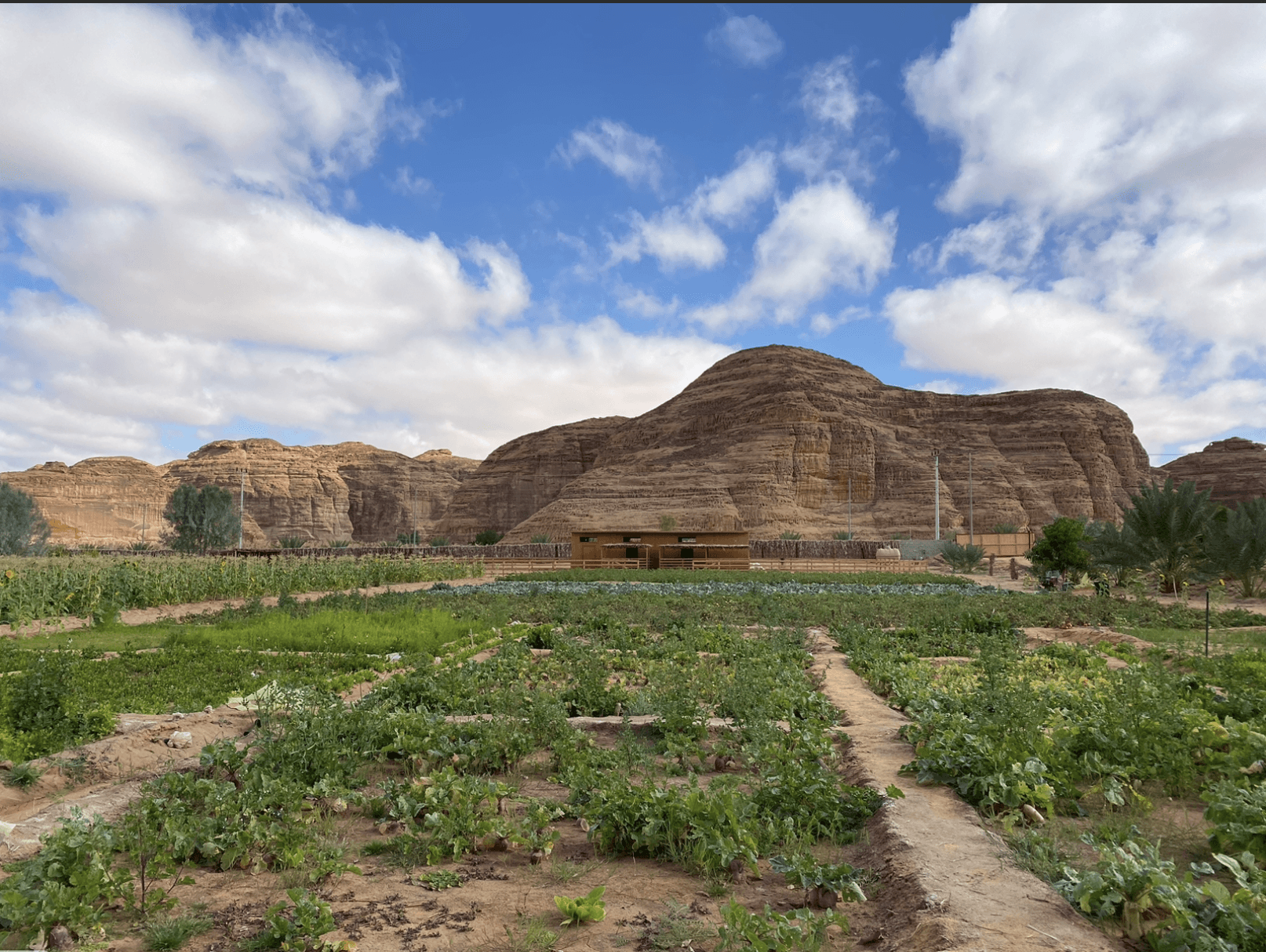 مزرعة عائلة الجود