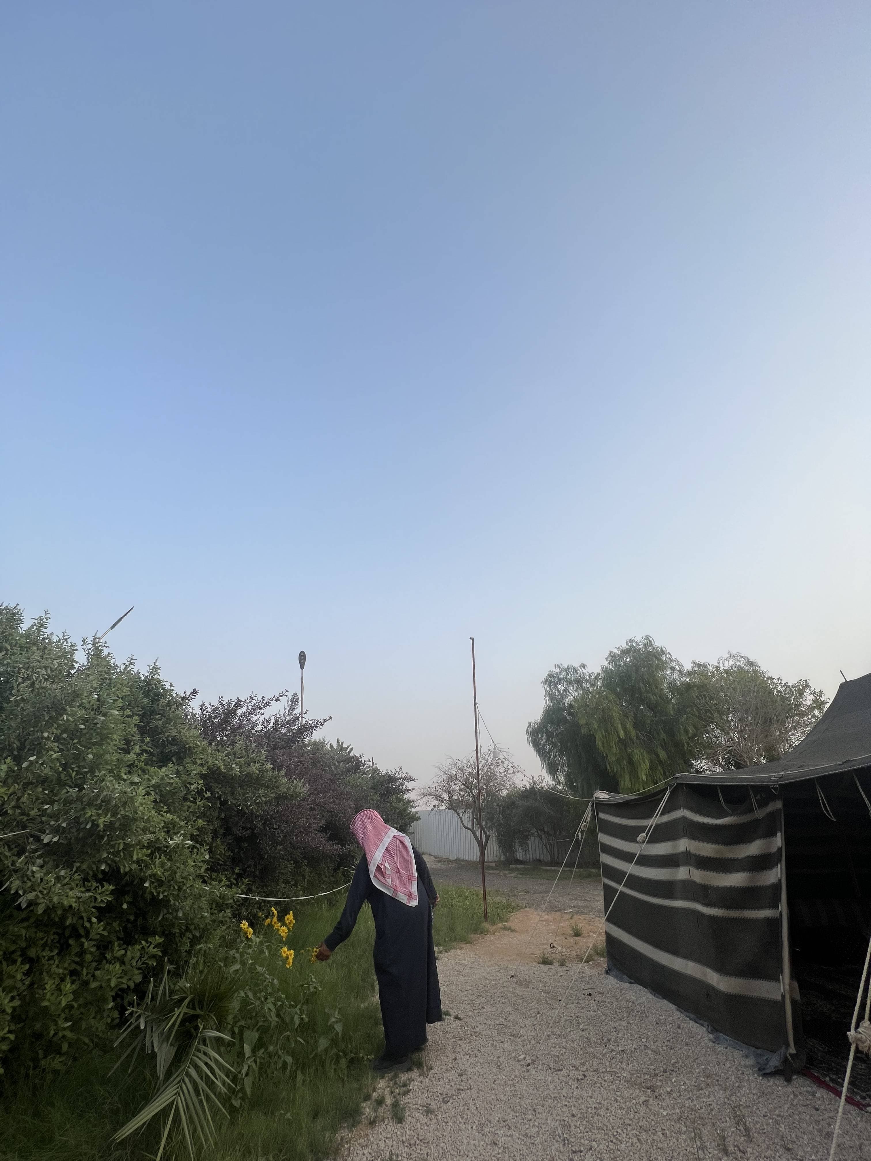 مزرعة جياد الخرج للزراعة العضوية