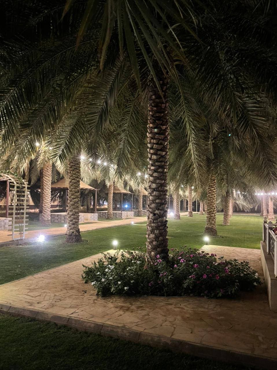 مزرعة التينة (منتجع التينة)