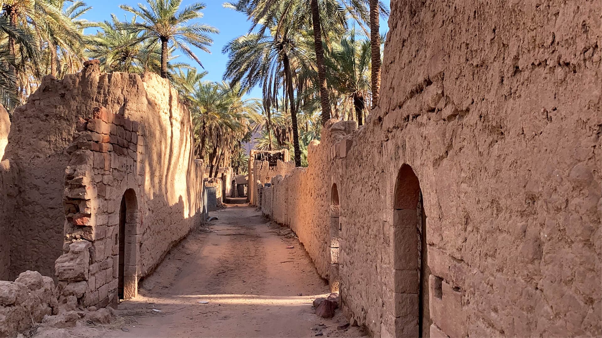 جولة درب الواحة التراثي – واحة العلا