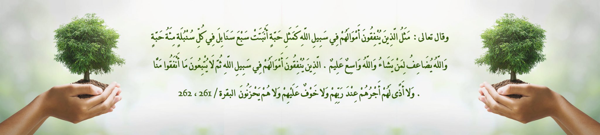 الحلقات الصيفية المكثفة - جمعية تحفيظ جازان