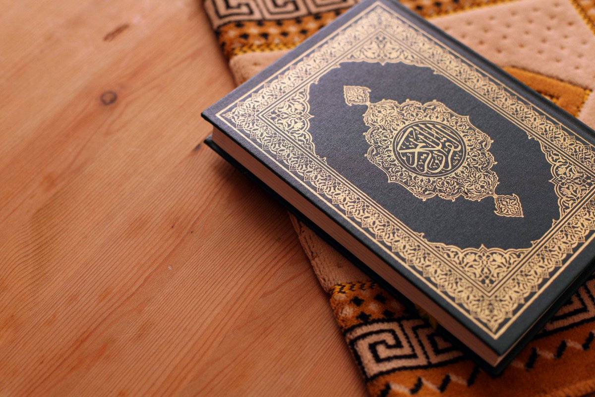 برنامج الارتقاء