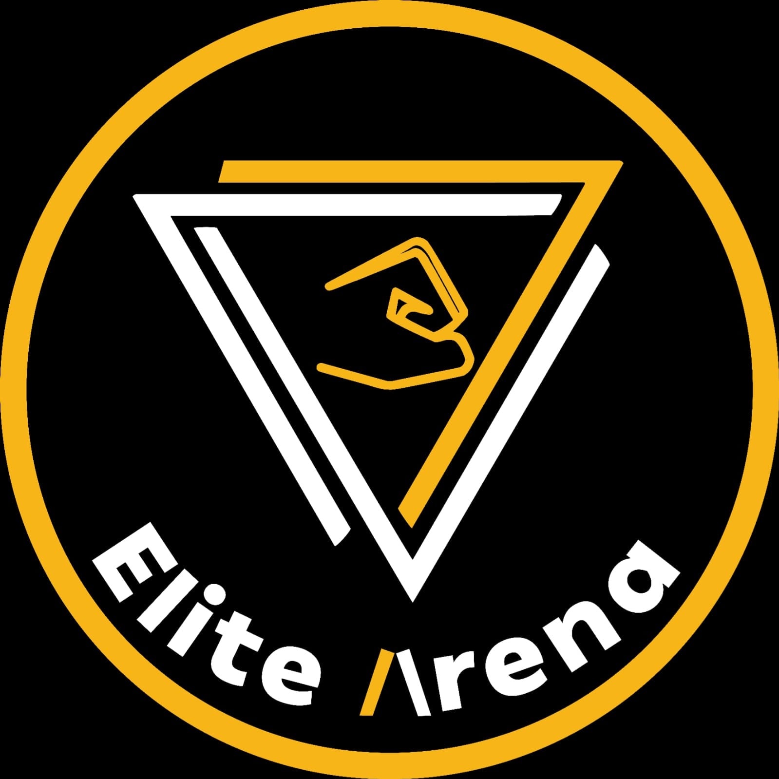 أكاديمية ساحة النخبة للفنون القتالية (Elite Arena Sport)